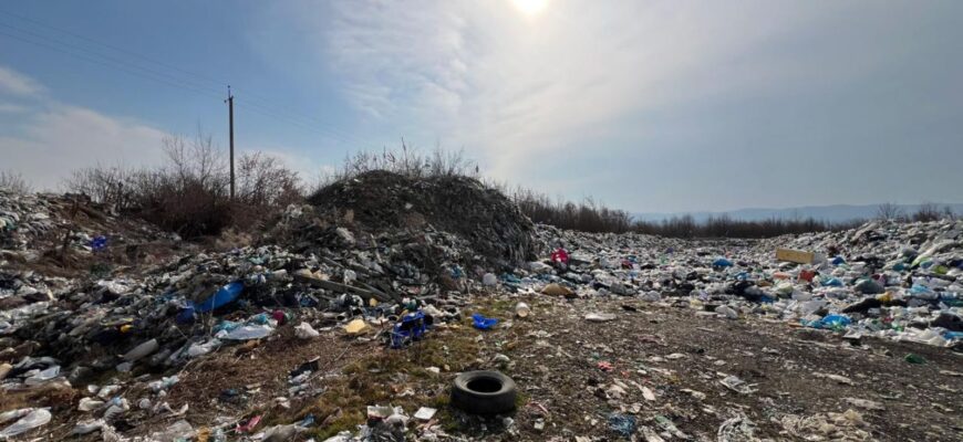 Завдав збитків довкіллю на 1,6 млн грн: ексначальнику КП повідомили про підозру