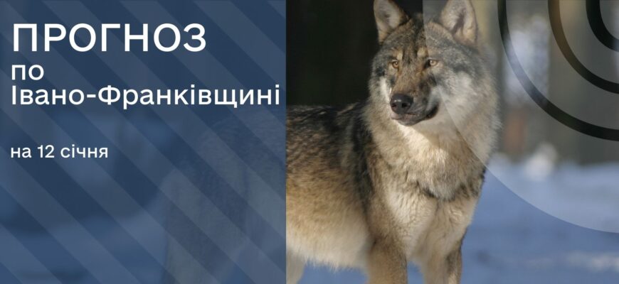 Прогноз погоди на 12 січня 2026 року