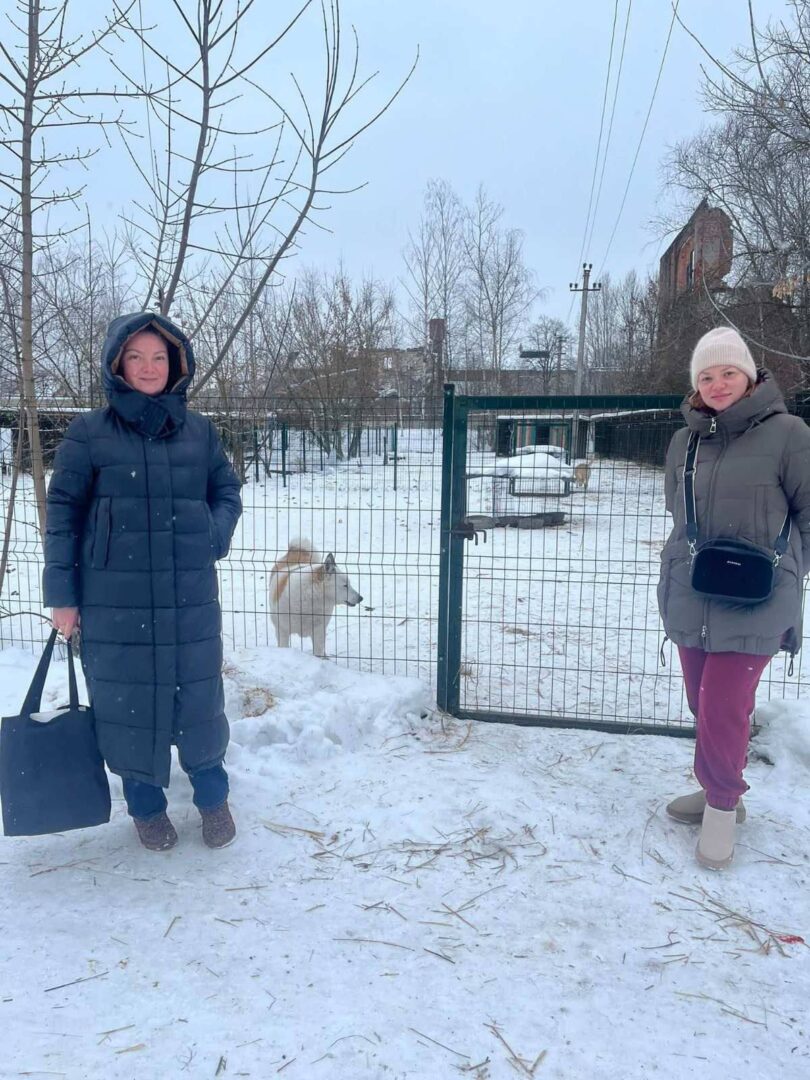 mgdm - Зима - найважчий період для «Дому Сірка» - rai.ua