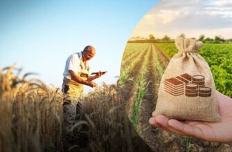 До уваги аграріїв! Оголошено прийом заяв на отримання гранту
