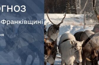 Прогноз погоди на 22 січня 2026 року