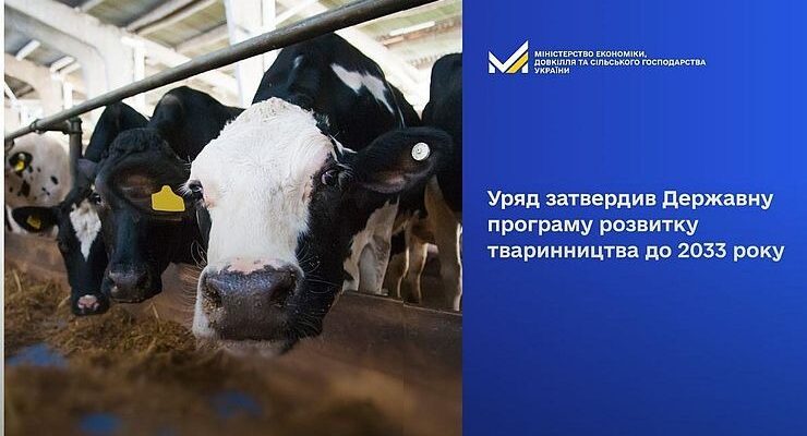 Уряд затвердив Державну цільову економічну програму розвитку тваринництва
