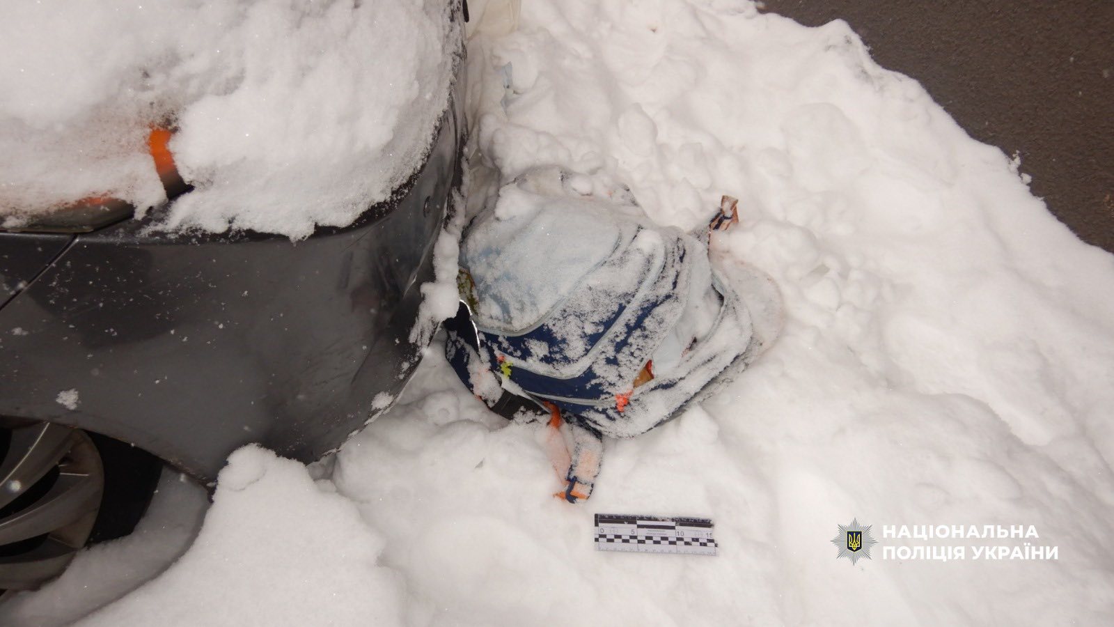 nprg - В Івано-Франківську чоловік проник до пошти та викрав 11 посилок - rai.ua