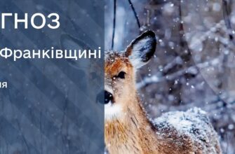 Прогноз погоди на 29 січня 2026 року