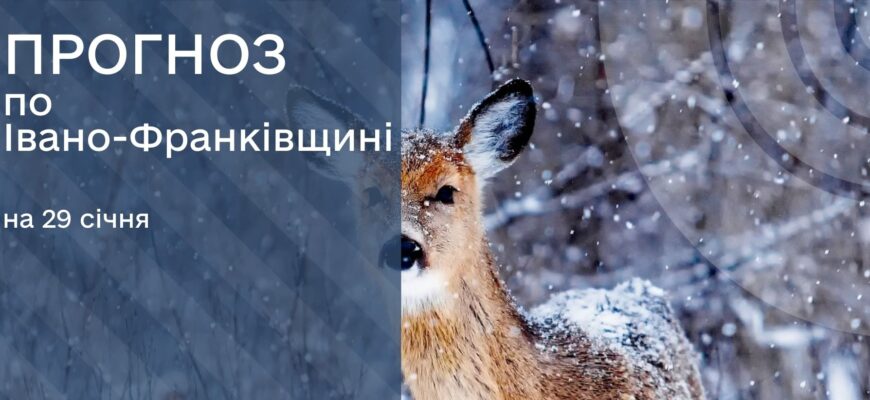 Прогноз погоди на 29 січня 2026 року