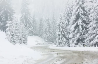 Світлана Онищук: ситуація із забезпеченням проїзду на дорогах перебуває на контролі