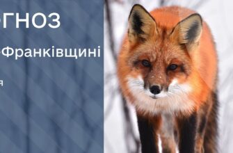 Прогноз погоди на 5 січня 2026 року