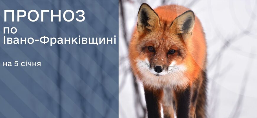 Прогноз погоди на 5 січня 2026 року