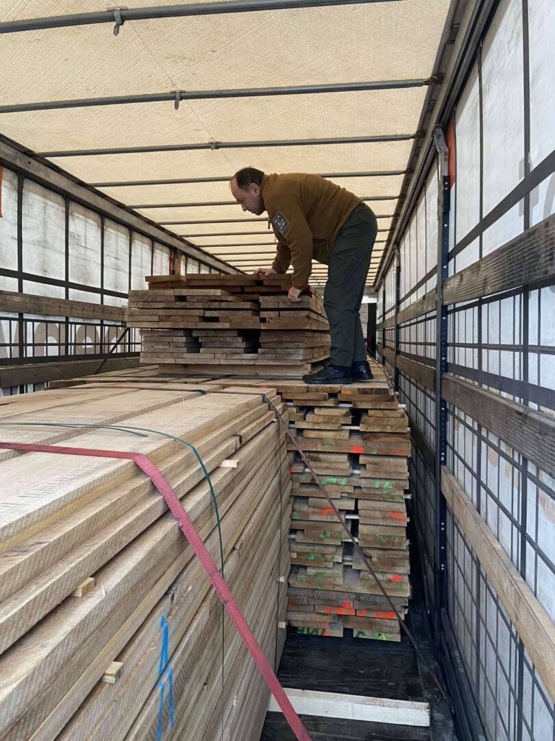 vse5evsh - Карантин рослин: підсумки роботи Держпродспоживслужби у 2025 році - rai.ua