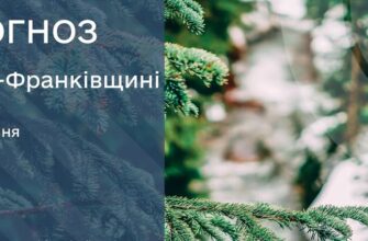 Прогноз погоди на 19 січня 2026 року