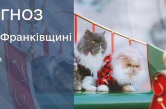 Прогноз погоди на 6 січня 2026 року