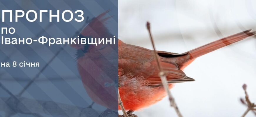 Прогноз погоди на 8 січня 2026