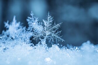 На Прикарпатті прогнозують подальше погіршення погодних умов