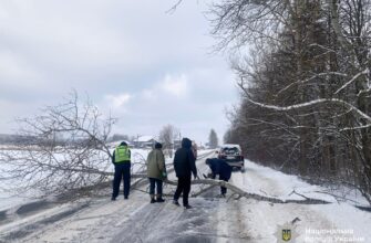 Поліцейські сприяють виїзду транспортних засобів зі снігових заметів