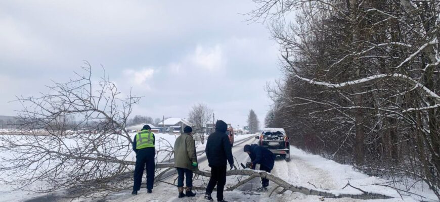 Поліцейські сприяють виїзду транспортних засобів зі снігових заметів