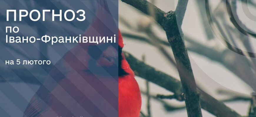 Прогноз погоди на 5 лютого 2026