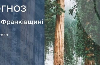 Прогноз погоди на 12 лютого 2026 року