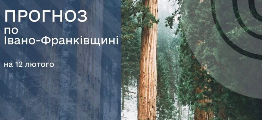 Прогноз погоди на 12 лютого 2026 року