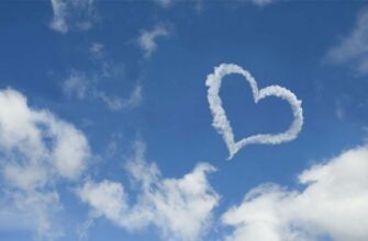 Прикарпатське повітря відповідає нормам: результати моніторингу. Відео