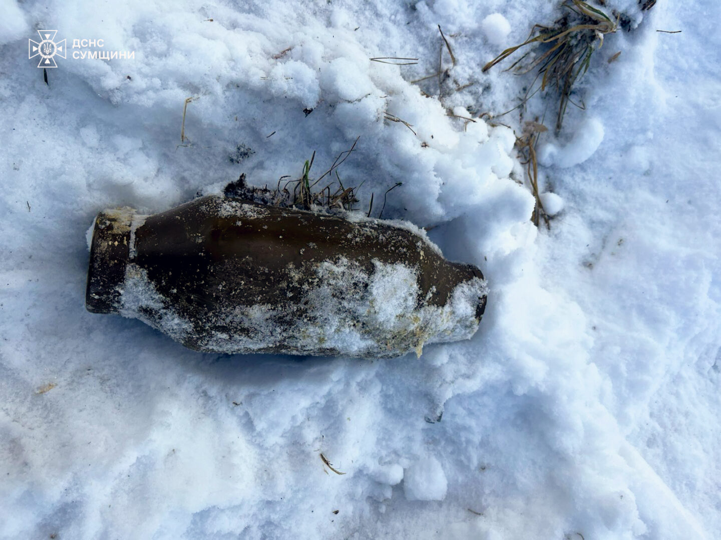 lt - Сапери ДСНС знищили небезпечні боєприпаси знищили на Сумщині - rai.ua