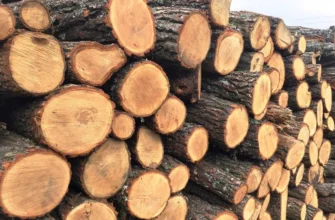 Незаконна рубка на Калущині: ДП «Ліси України» сплатило майже 280 тис грн збитків