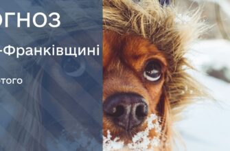 Прогноз погоди на 7 лютого 2026 року