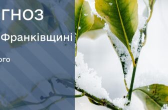 Прогноз погоди на 9 лютого 2026 року