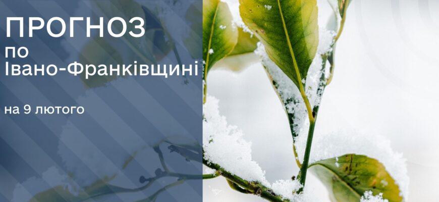 Прогноз погоди на 9 лютого 2026 року