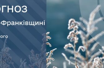 Прогноз погоди на 11 лютого 2026 року
