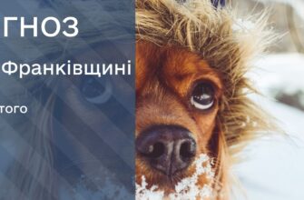 Прогноз погоди на 7 лютого 2026 року