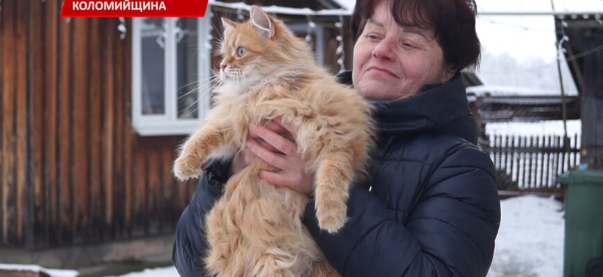 Родина із Запорізької області перевезла на Прикарпаття 23 тварини