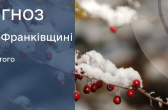 Прогноз погоди на 20 лютого 2026 року