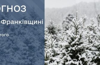 Прогноз погоди на 25 лютого 2026 року
