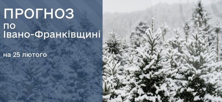 Прогноз погоди на 25 лютого 2026 року