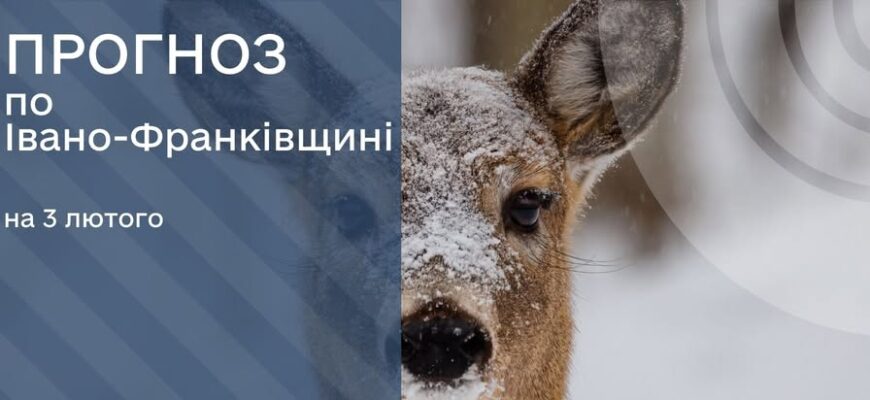 Прогноз погоди на 03 лютого 2026 року