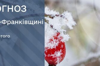 Прогноз погоди на 19 лютого 2026 року