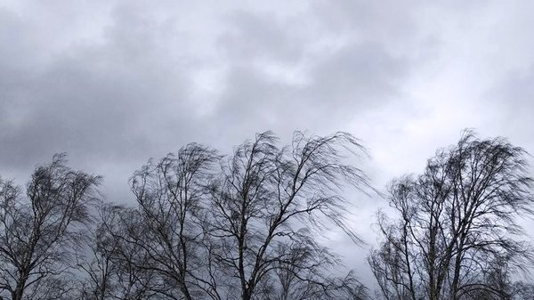 Протягом доби 24 лютого очікуються пориви вітру