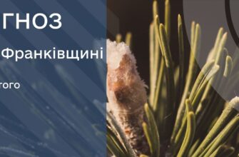 Прогноз погоди на 24 лютого 2026 року
