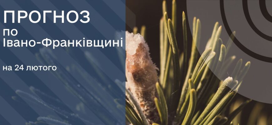 Прогноз погоди на 24 лютого 2026 року