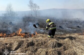 Минулої доби на Прикарпатті рятувальники ліквідували 66 пожеж в екосистемах