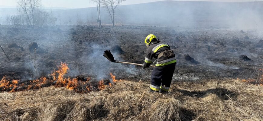 Минулої доби на Прикарпатті рятувальники ліквідували 66 пожеж в екосистемах