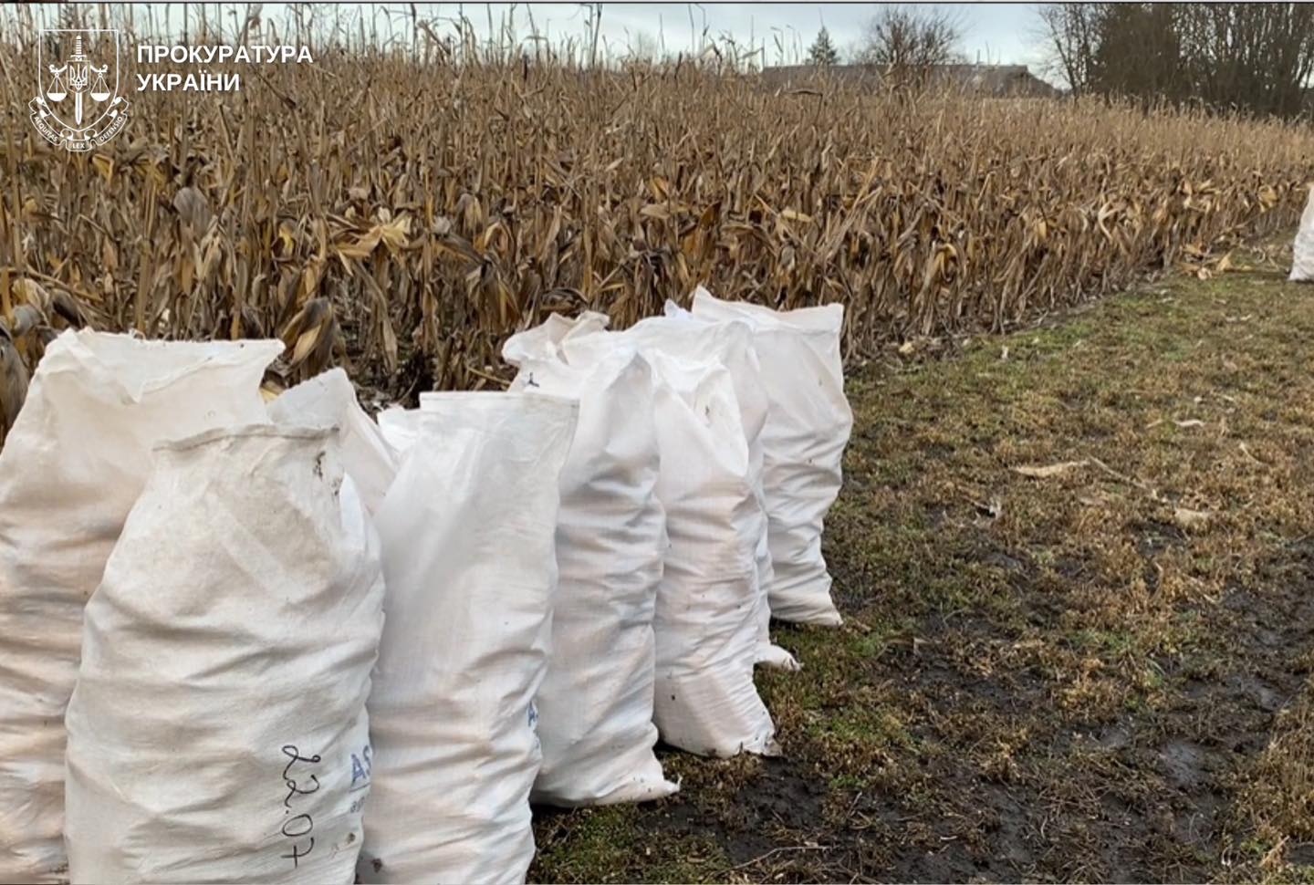 chvuia - У Вінниці викрито директора психоневрологічного інтернату, який змушував працювати на приватних осіб - rai.ua