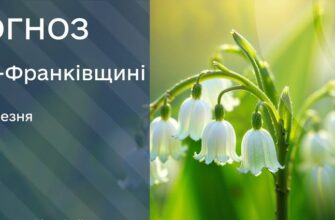 Прогноз погоди на 11 березня 2026 року