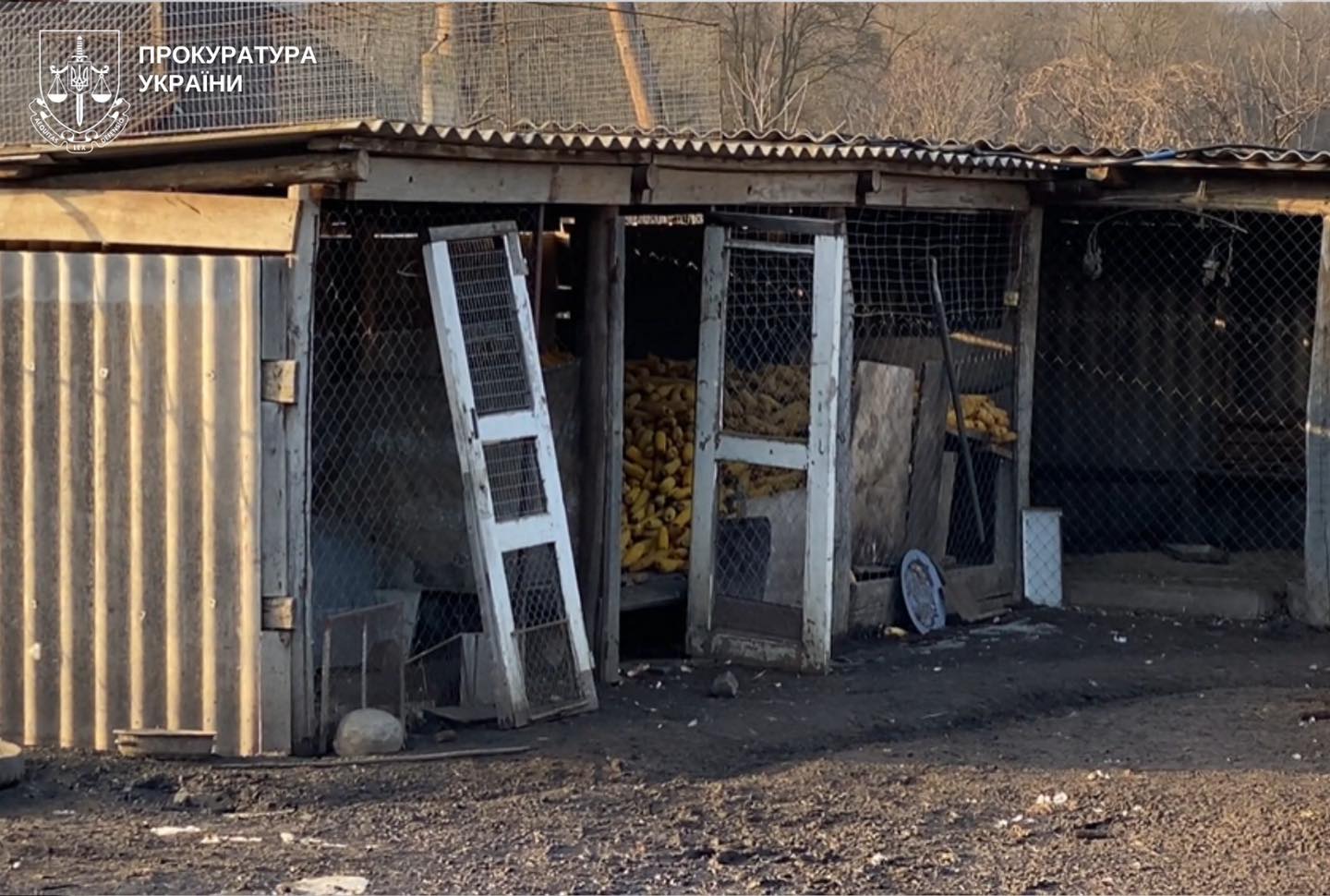 ivkf - У Вінниці викрито директора психоневрологічного інтернату, який змушував працювати на приватних осіб - rai.ua