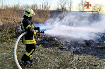 За минулу добу в області зафіксовано 78 пожеж у природних екосистемах