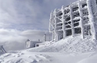 З початку року у Карпатах врятовано 89 туристів