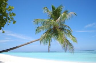 Мальдіви чи Сейшели: куди поїхати для райської подорожі?