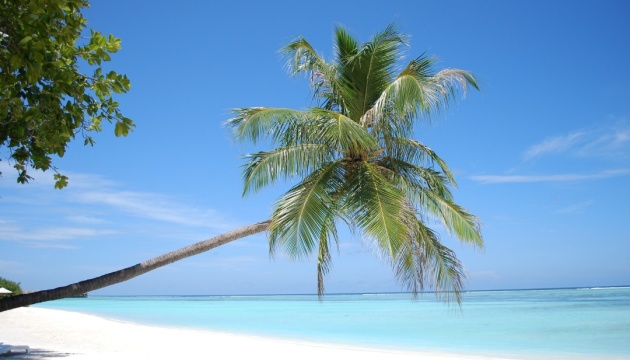 Мальдіви чи Сейшели: куди поїхати для райської подорожі?
