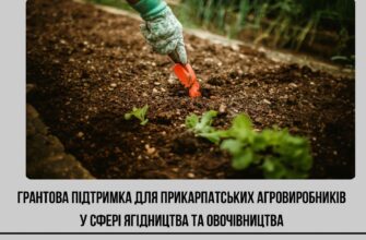 Агровиробники можуть претендувати на 150 тис. доларів грантової підтримки