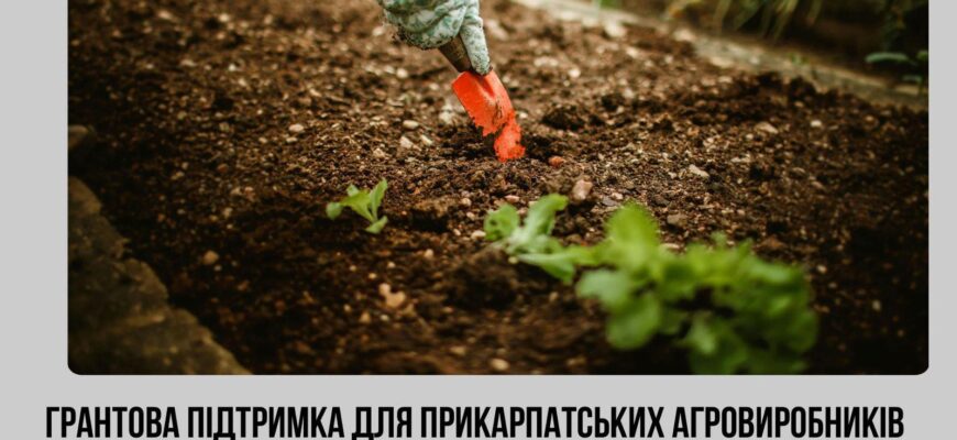 Агровиробники можуть претендувати на 150 тис. доларів грантової підтримки